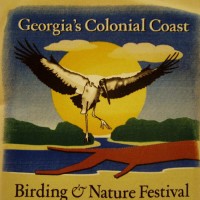 Georgia's Colonial Coast Birding and Nature Festival