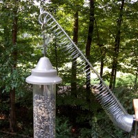 feeders+024