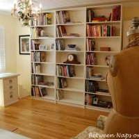 Office Library (Between Naps on the Porch)