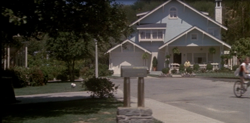 The Burbs, starring Tom Hanks and Carrie Fisher