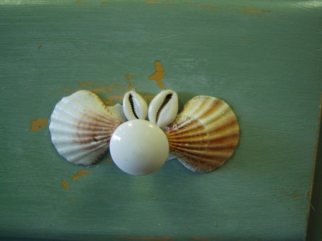 Chest Decorated with Shells