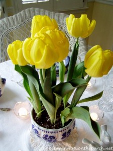 Yellow Tulips in a Blue and White Table Setting