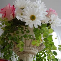 Summer Table Setting Tablescape with Roses and Daisies Centerpiece