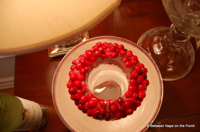 Make a Wine Ice Chiller with Cranberries 1