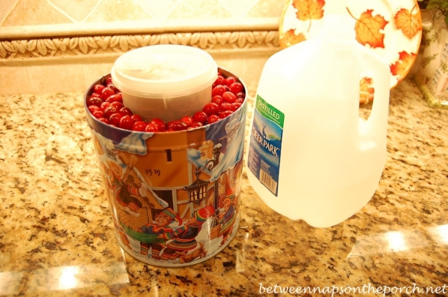 https://betweennapsontheporch.net/wp-content/uploads/2010/11/Make-a-Wine-Ice-Chiller-with-Cranberries-10_wm.jpg