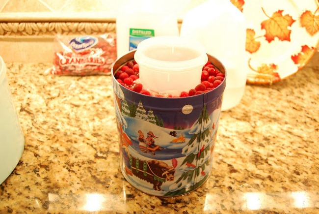 Make a Wine Ice Chiller with Cranberries 5