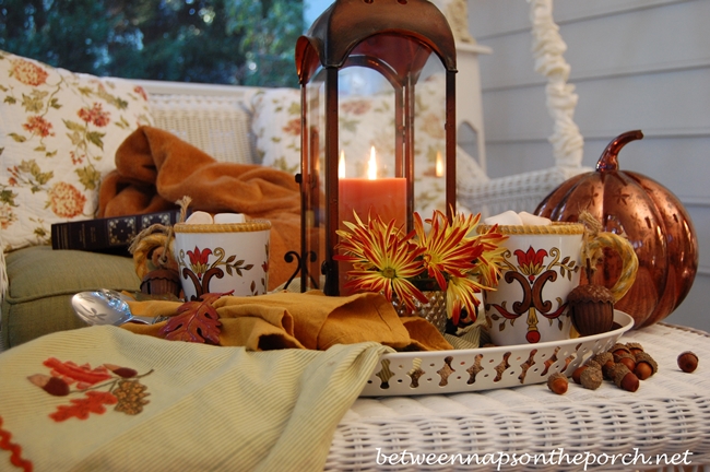 Fruit Infusion Pitcher, Love This Thing! – Between Naps on the Porch