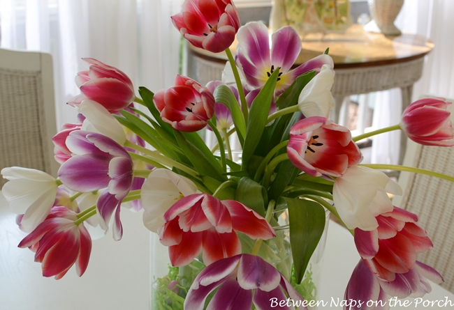 Tulips in a DIY Double-Bowl Vase Hurricane, Pottery Barn Knock-off