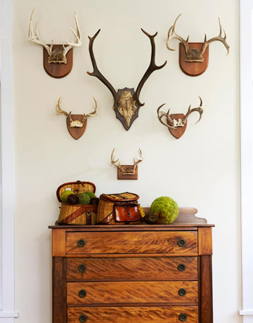 Decorating with Deer Mounts: A Comprehensive Guide