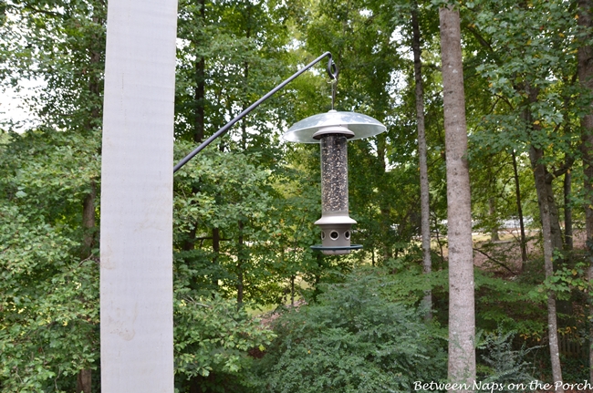 Install a Long Swing-Arm Hook for Hanging Plants or Bird Feeders