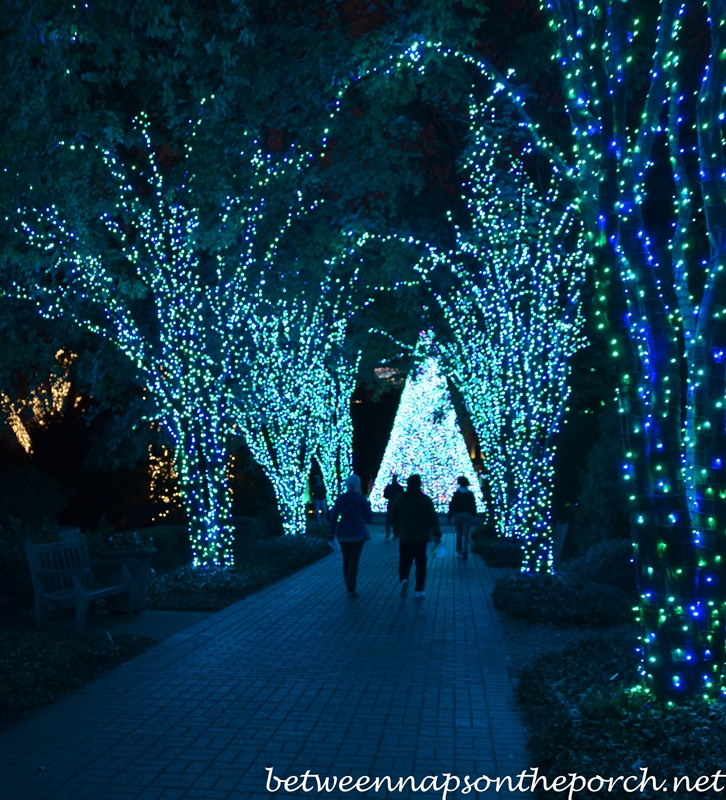 Atlanta Botanical Garden Garden Lights Holiday Nights Between