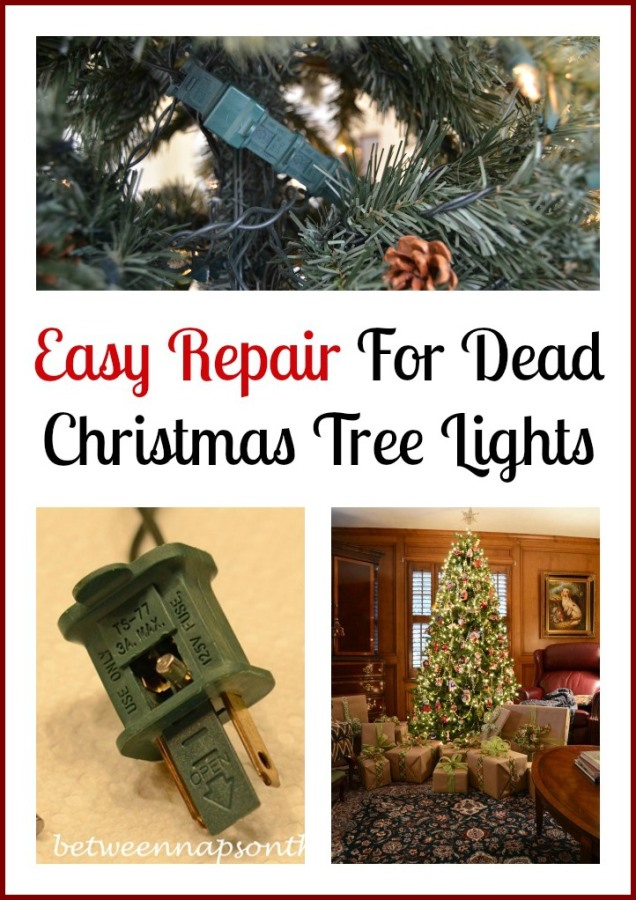 Easy Repair for Dead Christmas Tree Lights 