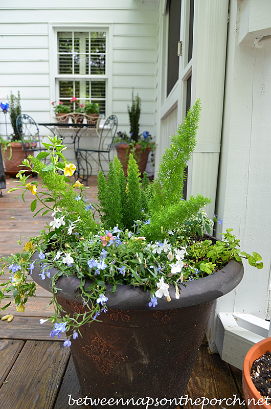 Decorating the Deck with Flowers for Spring and Summer