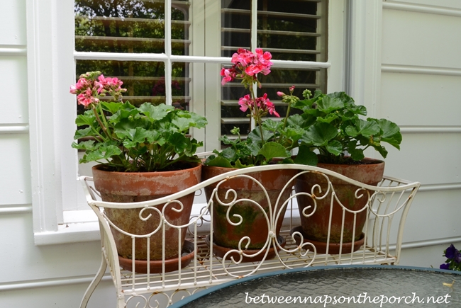 Decorating the Deck with Flowers for Spring and Summer