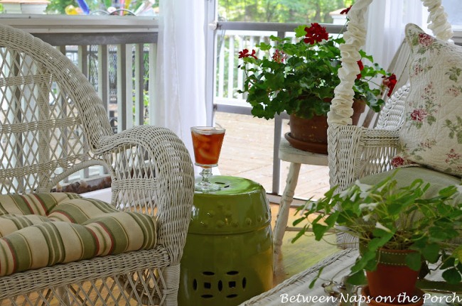 Garden Seat with Red Geranium 