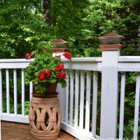 Garden Seat with Geranium on Deck