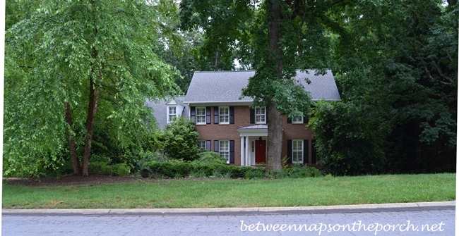 House Hidden and Overwhelmed by Trees and Shrubs 1