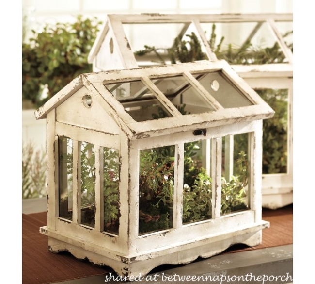 Pottery Barn Greenhouse Terrarium