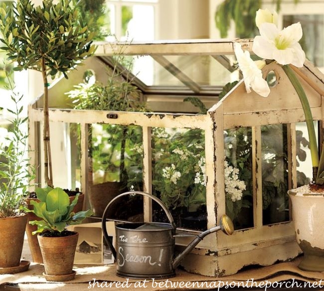 Pottery Barn Greenhouse Terrarium