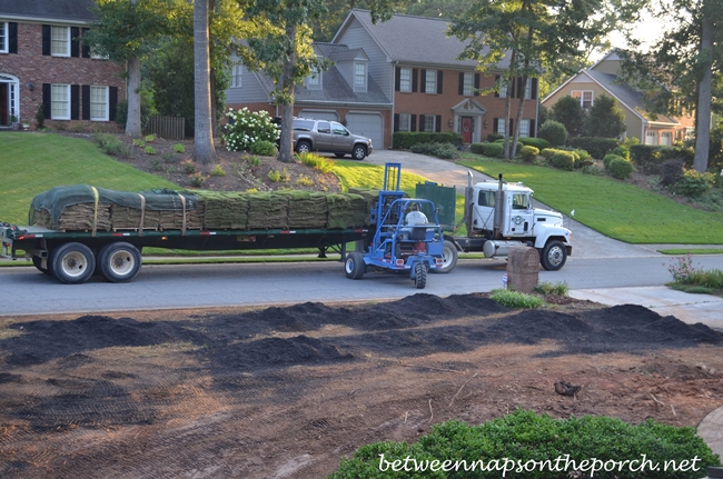 Zeon Zoysia Sod Being Delivered