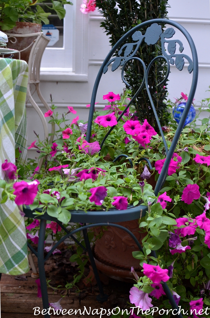 Dining With Petunias, A Garden Tablescape