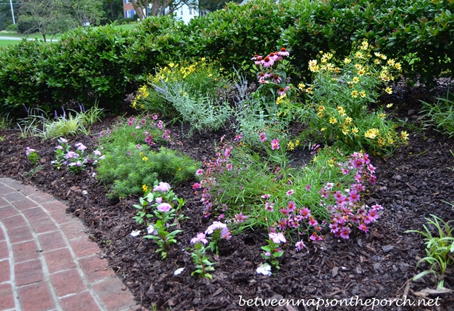 Perennial Garden with Russian Sage, Coreopsis Moonbeam, Coreopsis Heaven's Gate, Tickseed