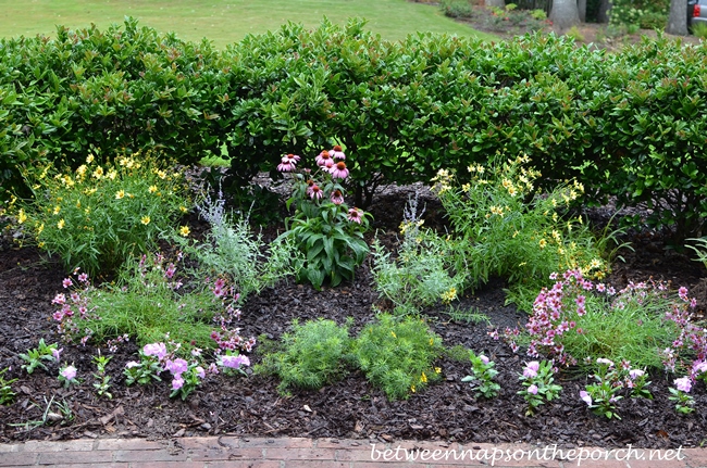 Perennial Garden