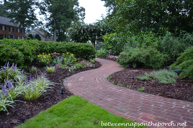 Perennials Bed Along Side Brick Walkway