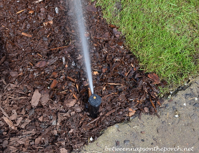 Rainbird Irrigation Sprinkler_wm
