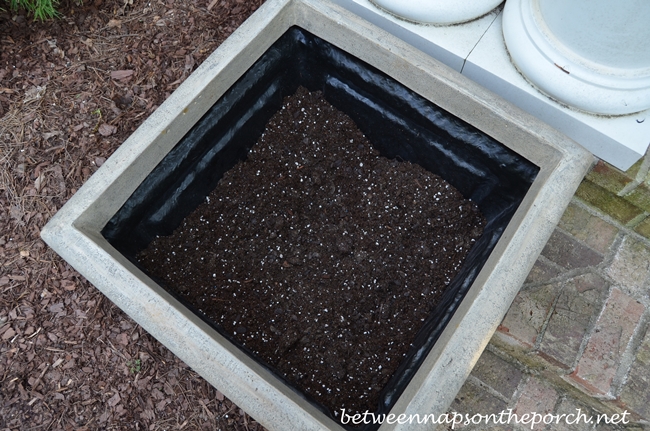 Planter Filled with Potting Mix