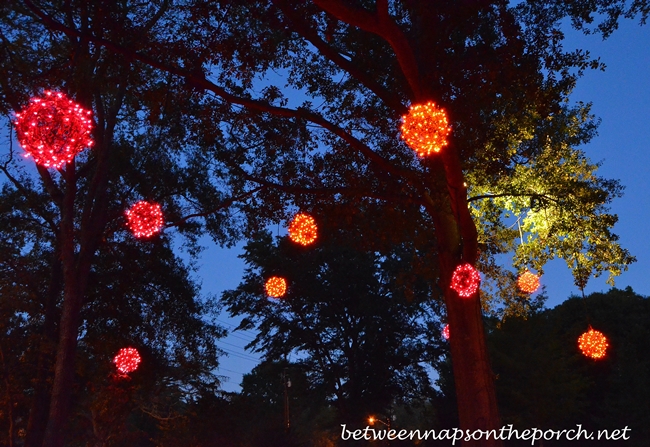 Glowing Orbs Hanging from Trees for Halloween