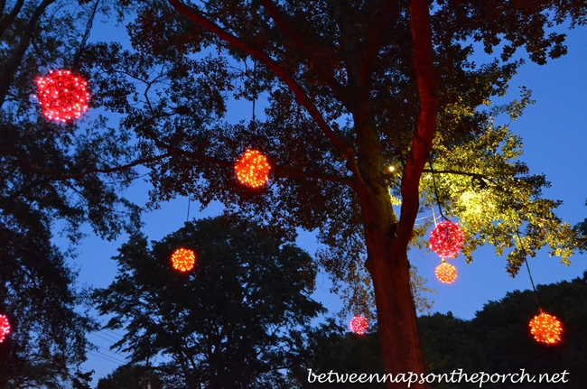 Lighting Trees for Halloween