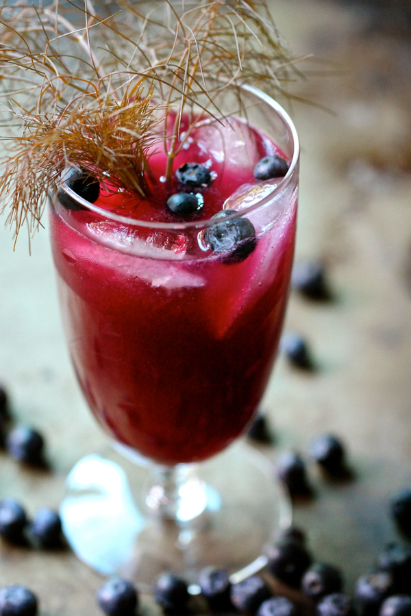 Blueberry Fennel Party Drink