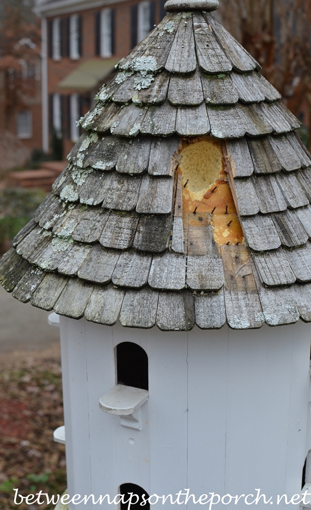 Dovecote with Woodpecker Damage