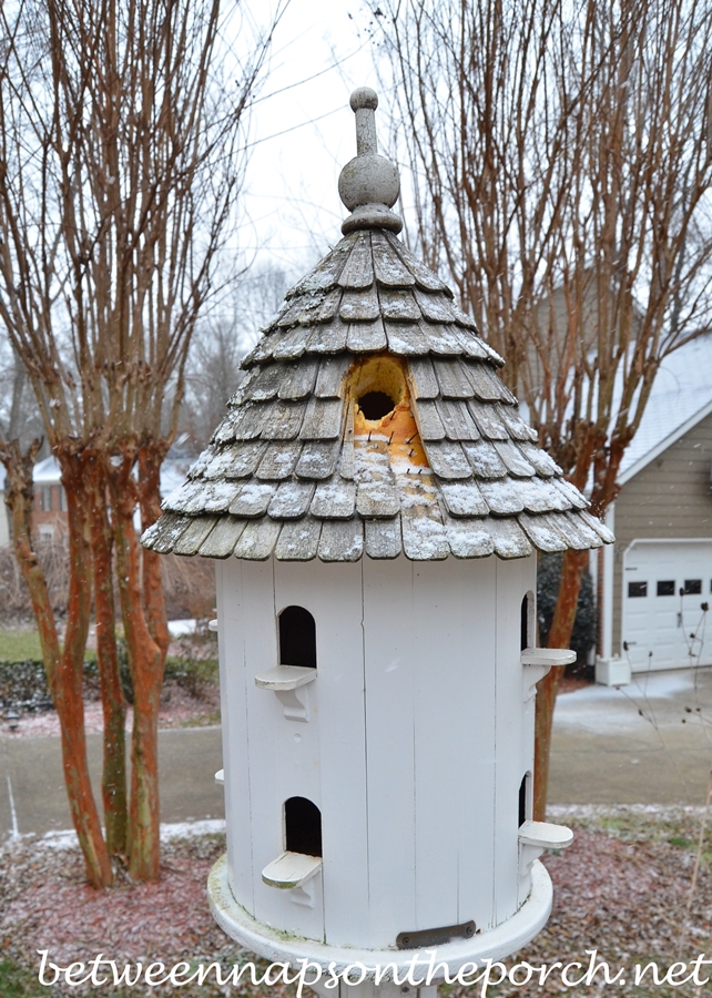 Dove Cote Damaged by Woodpecker 2_wm