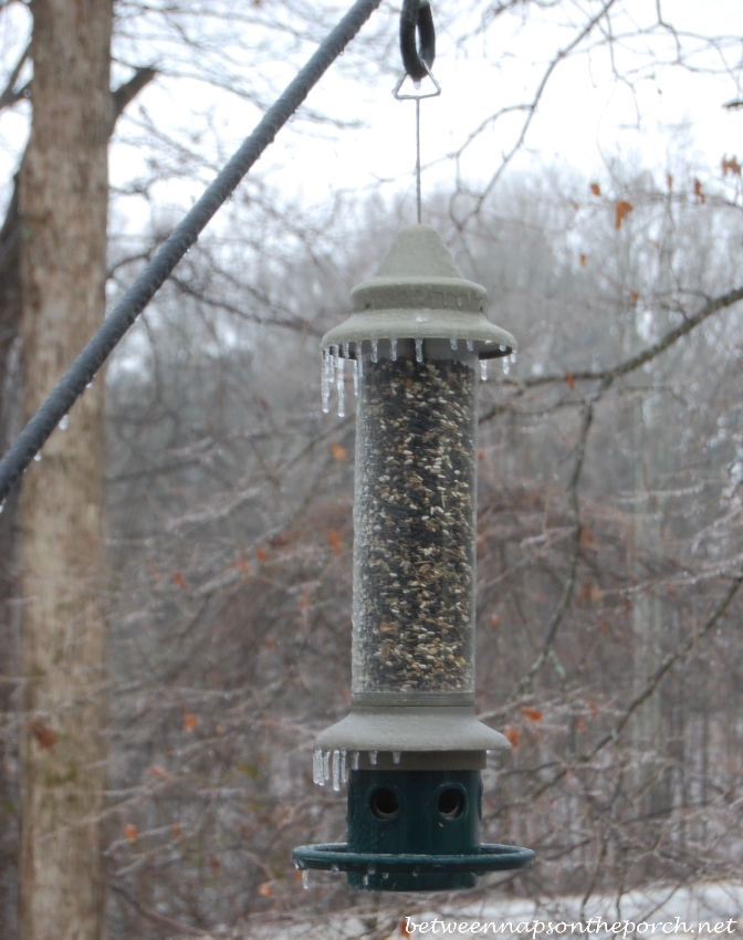 Ice Storm in Georgia, 2014 