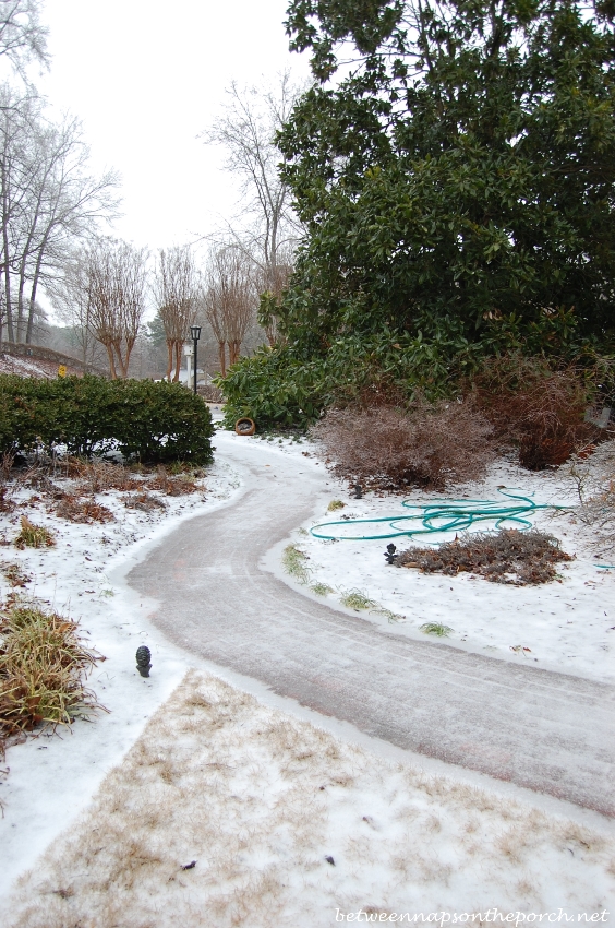 Ice Storm in Georgia, 2014 13