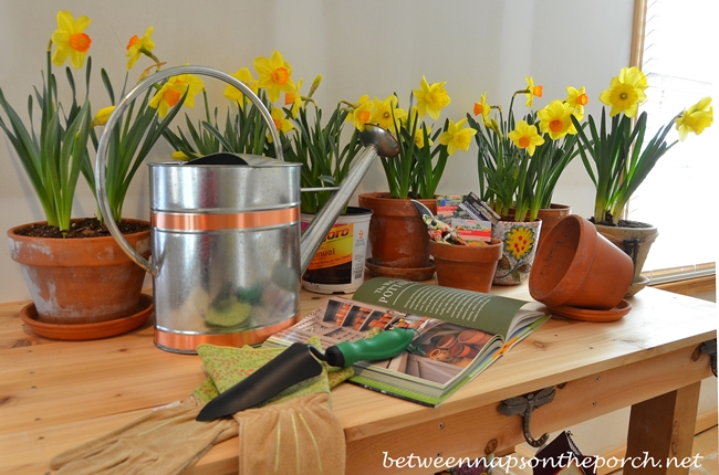 Pottery Barn Abbott Inspired Potting Table & Buffet Server