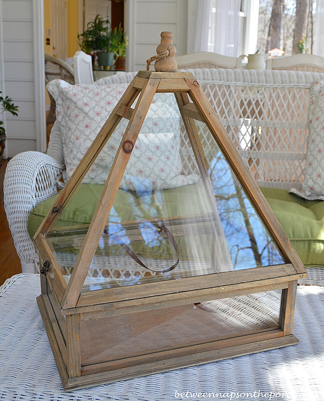 A Tabletop Terrarium or Greenhouse for the Summer House