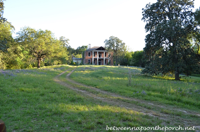 Arlington, Historic Home in Natchez, Mississippi 4