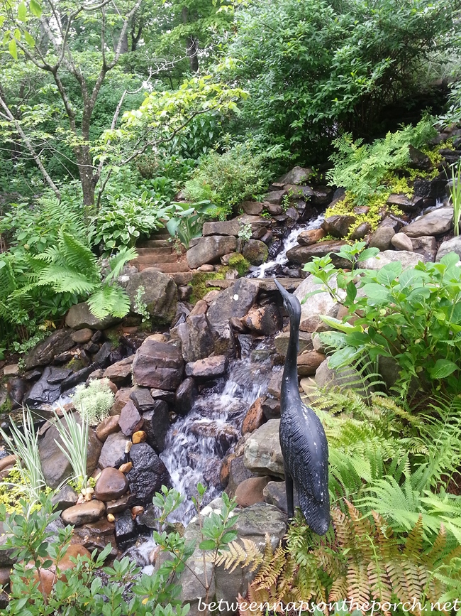 Backyard Waterfall