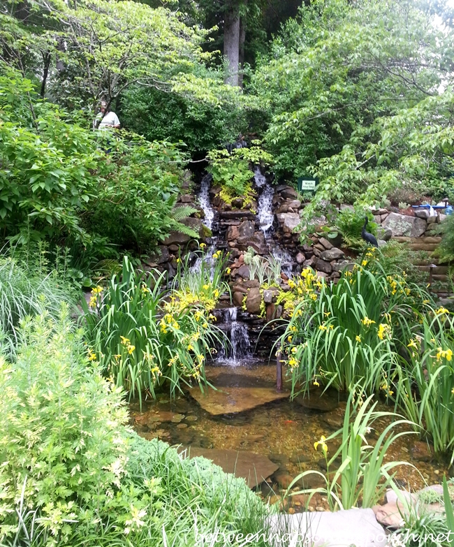 Waterfall and Pond for the Backyard Garden