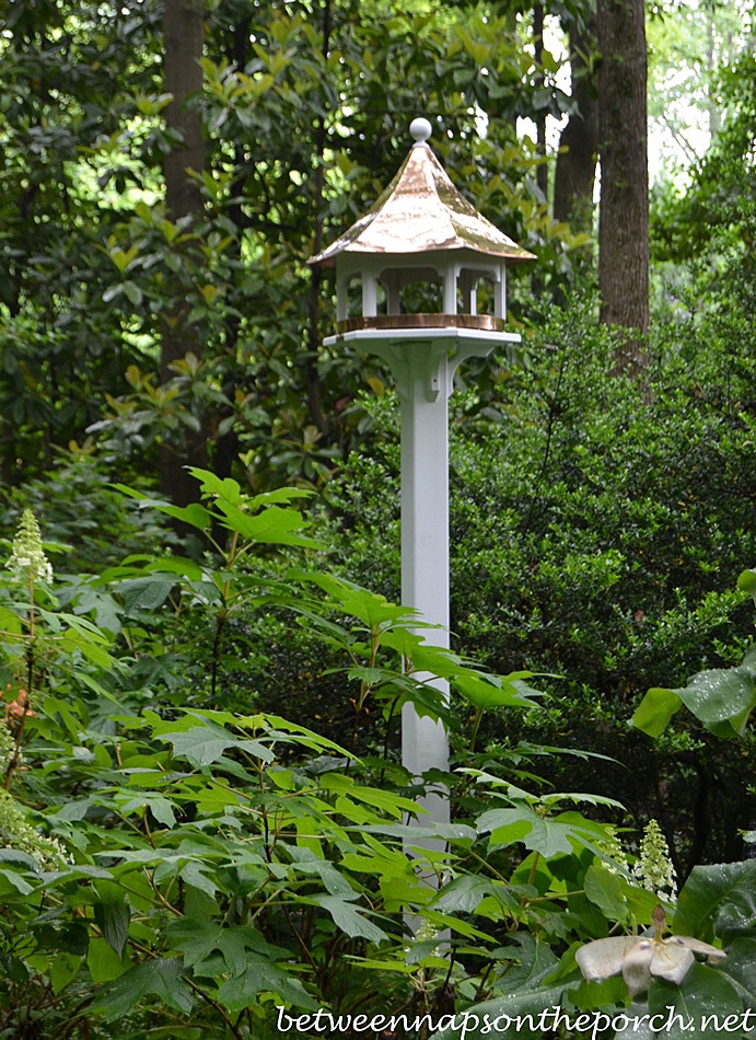 Lazy Hill Carousel Bird Feeder