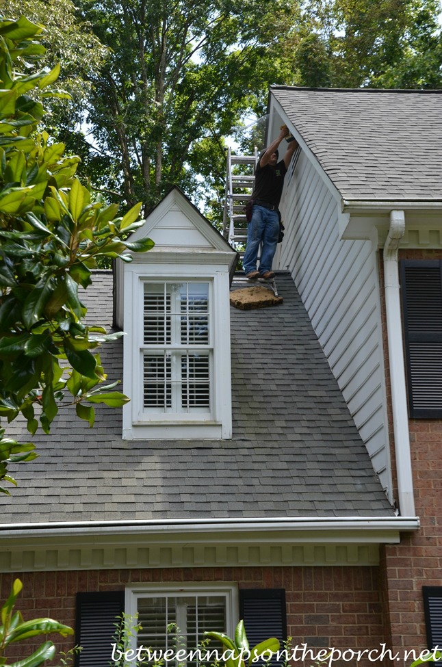 Screen Gable Vents To Keep Bats and Squirrels Out of Attics