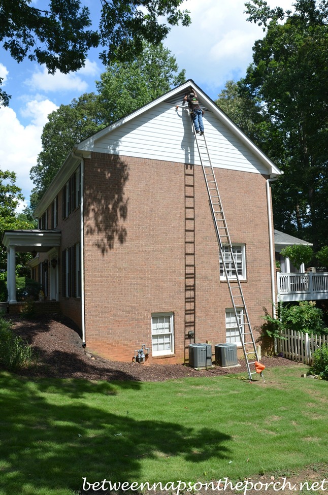 Screen Gable Vents To Keep Bats and Squirrels Out of Attics 