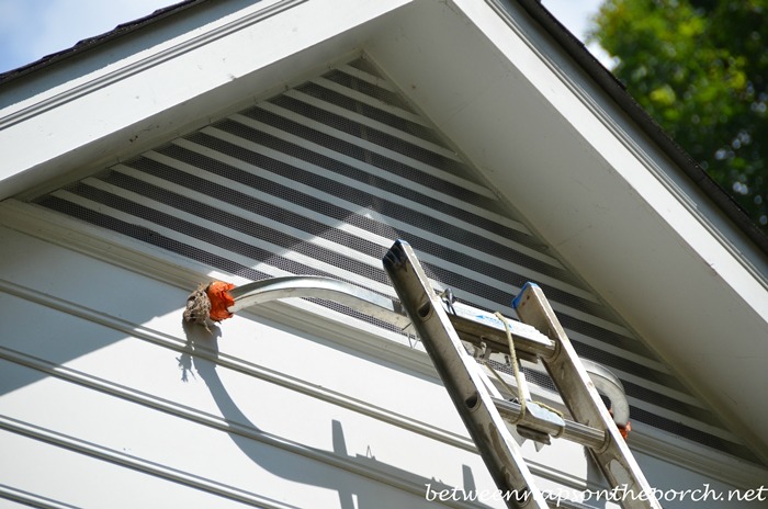 Screen Gable Vents To Keep Bats and Squirrels Out of Attics