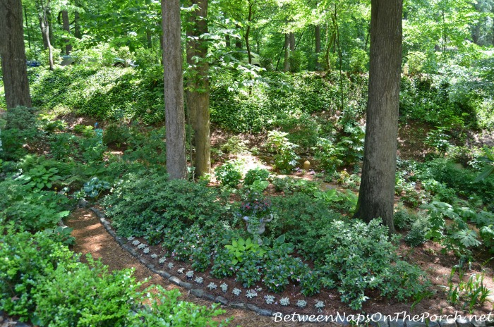 Beautiful Shade Garden (2)