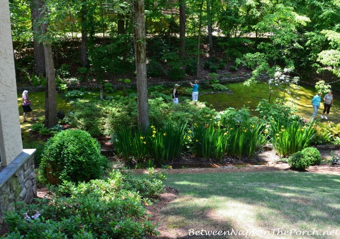 Beautiful Shade Garden