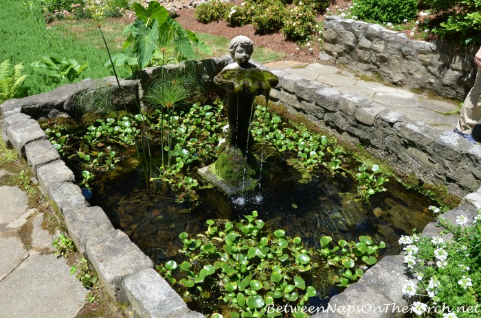 Fountain in a Small Pond