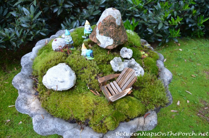 Moss Fairy Garden